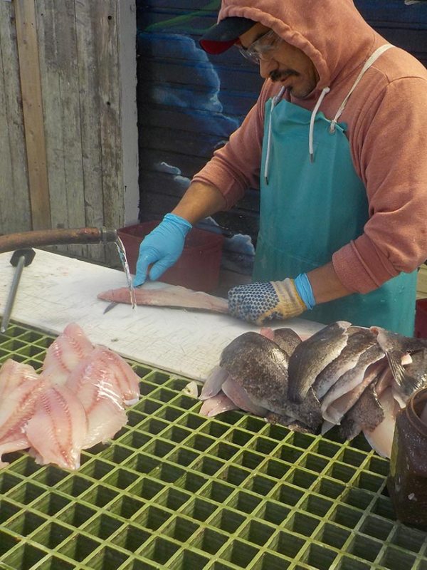 a person holding a hot dog